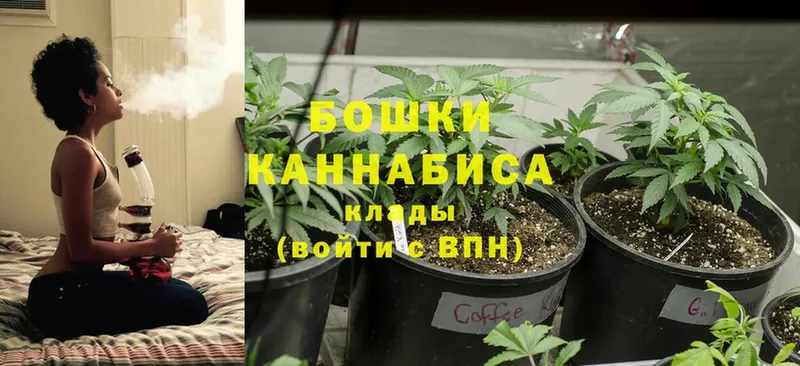 Бошки Шишки OG Kush  закладка  Салават 